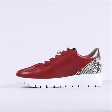 Wonders Odisei Bungee Lace SnakeTrainer - Red Snake
